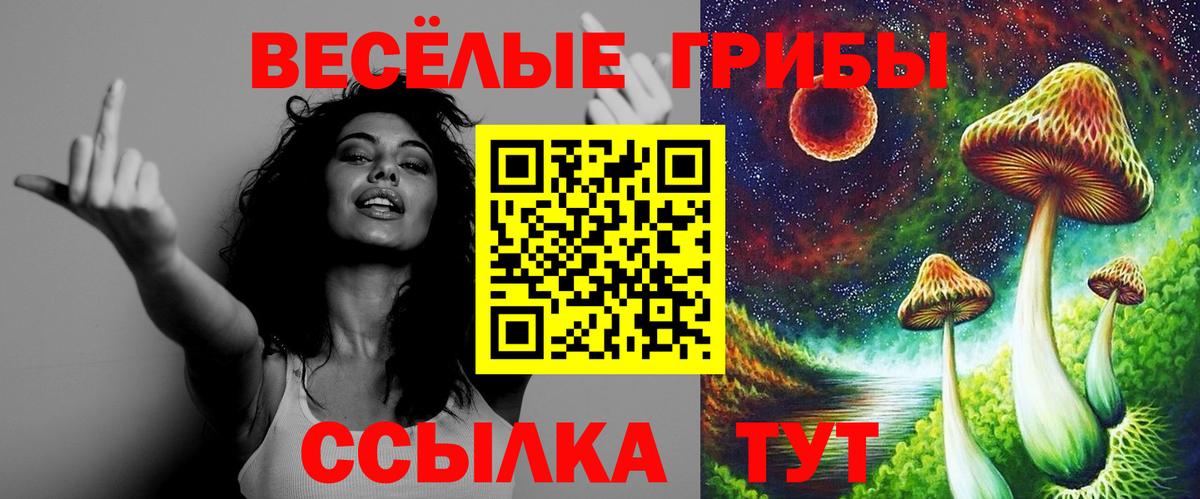 Галлюциногенные грибы мицелий Долгопрудный
