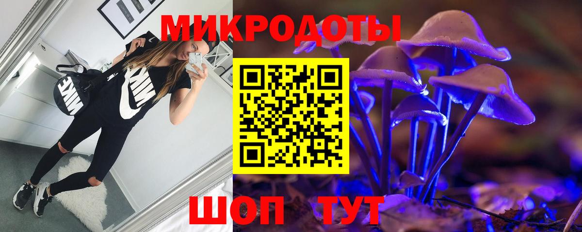 Псилоцибиновые грибы GOLDEN TEACHER  Вход с VPN  Псилоцибиновые грибы GOLDEN TEACHER  Долгопрудный 